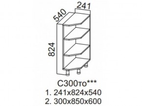 С300то Стол-рабочий 300 (торцевой открытый) в Талице - talica.magazin-mebel74.ru | фото