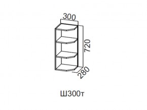 Ш300т/720 Шкаф навесной 300/720 (торцевой) в Талице - talica.magazin-mebel74.ru | фото