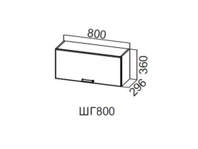 ШГ800/360 Шкаф навесной 800/360 (горизонт.) в Талице - talica.magazin-mebel74.ru | фото