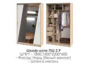 шкаф-купе ПШ-2.9 1500 Норд Белый жемчуг 1500 в Талице - talica.magazin-mebel74.ru | фото