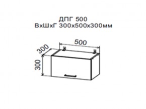 Шкаф верхний ДПГ500 горизонтальный в Талице - talica.magazin-mebel74.ru | фото