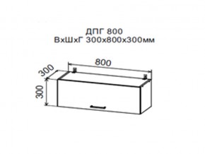 Шкаф верхний ДПГ800 горизонтальный в Талице - talica.magazin-mebel74.ru | фото