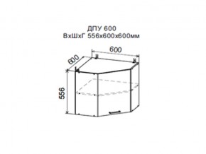 Шкаф верхний ДПУ600 угловой в Талице - talica.magazin-mebel74.ru | фото